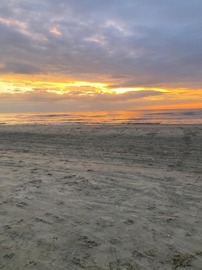 德帕内Zeehalm - 20M From The Beach公寓 外观 照片